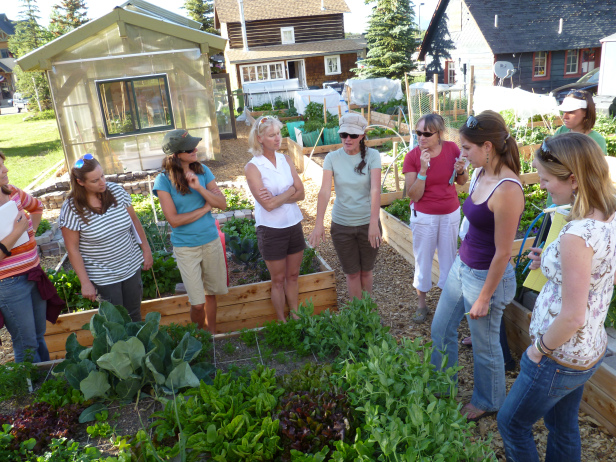wasted.ie-community-gardens